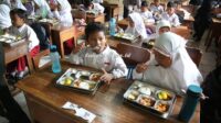 Program Mbg